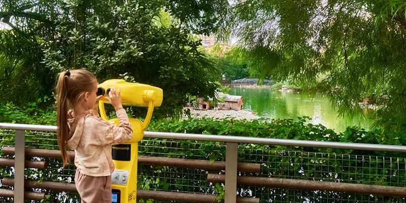 Удобно и выгодно: в каких учреждениях культуры Москвы можно предъявить цифровое удостоверение многодетной семьи