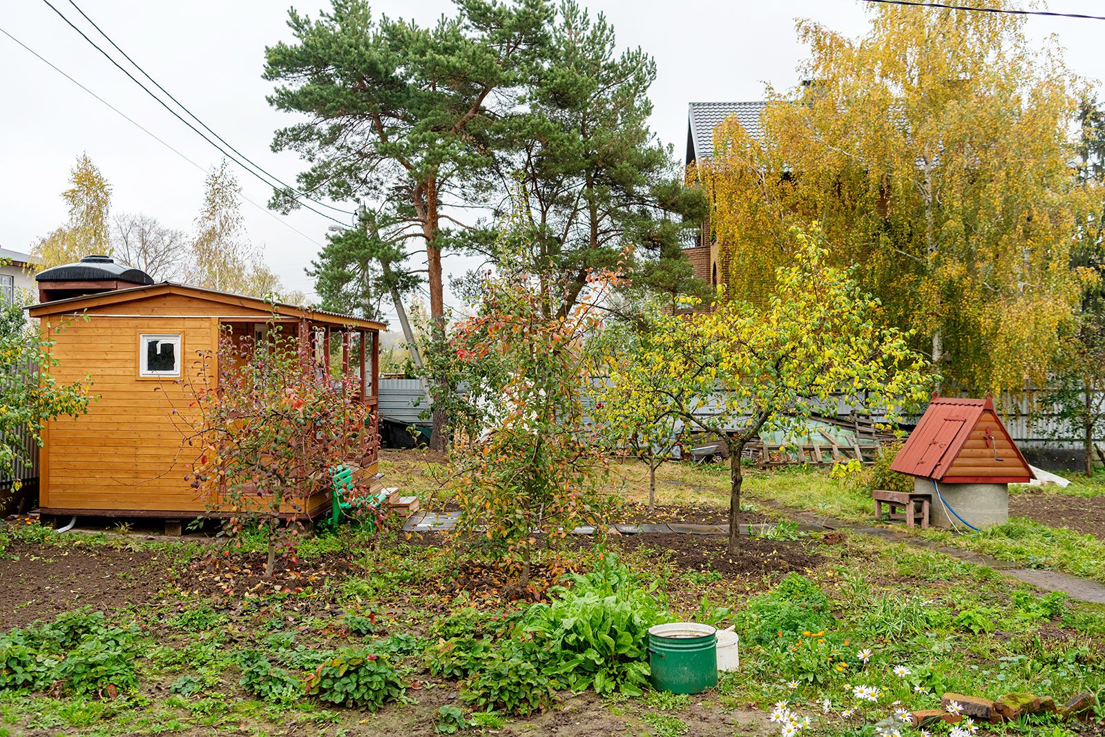 Фото: Максим Мишин. Пресс-служба Мэра и Правительства Москвы