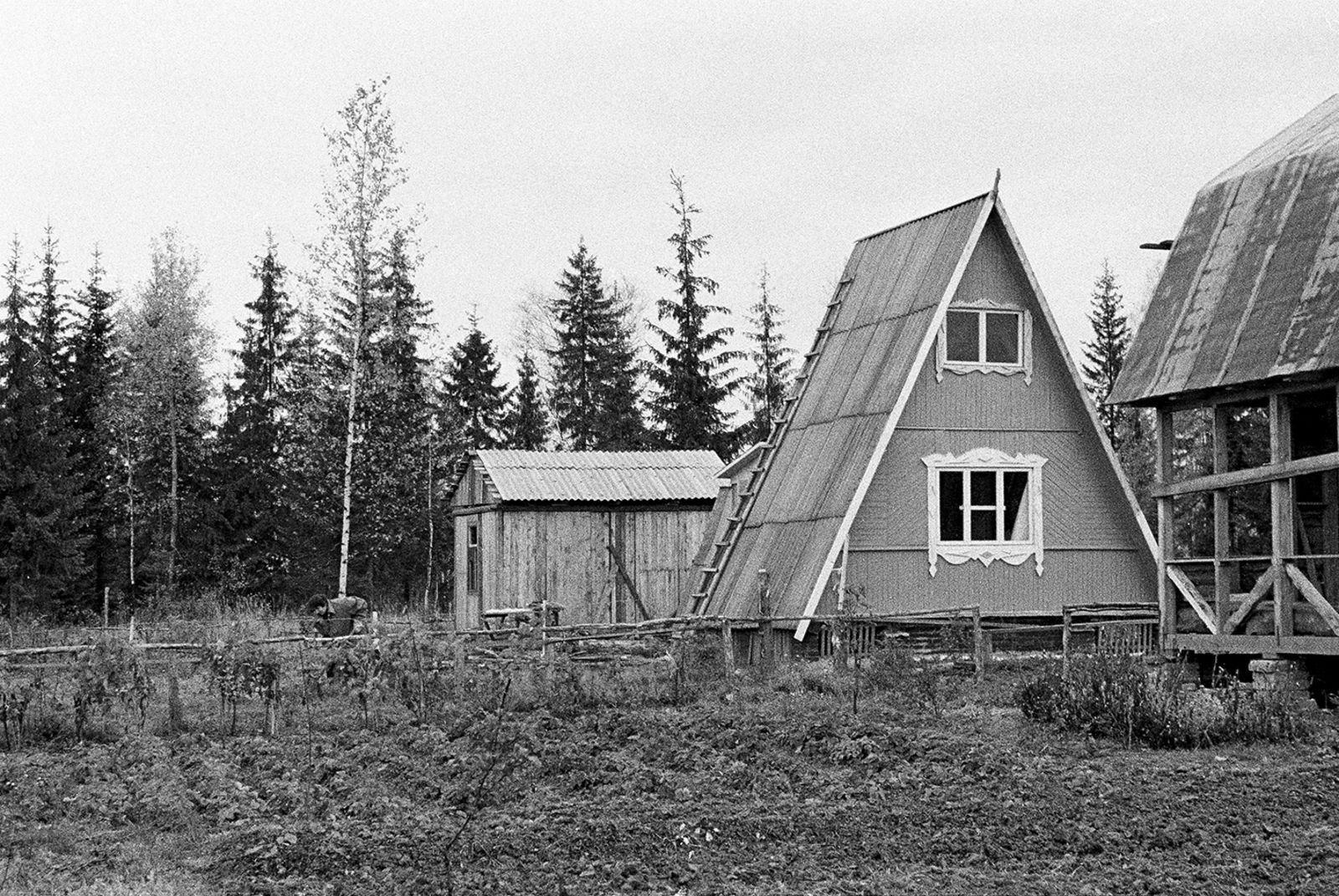 Вид на дачные постройки. Автор &ndash; А.В. Пуртов. Московская обл. 15.10.1980 г. Главархив Москвы