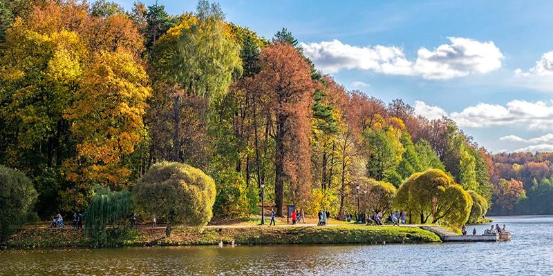 Moscow’s record-breaking parks: places to see centuries-old trees and historic structures