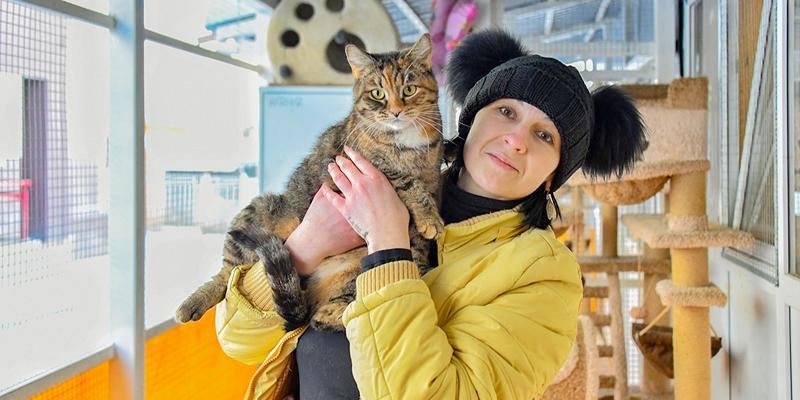 Забота согревает: как вместе с городскими проектами помочь бездомным животным в холода