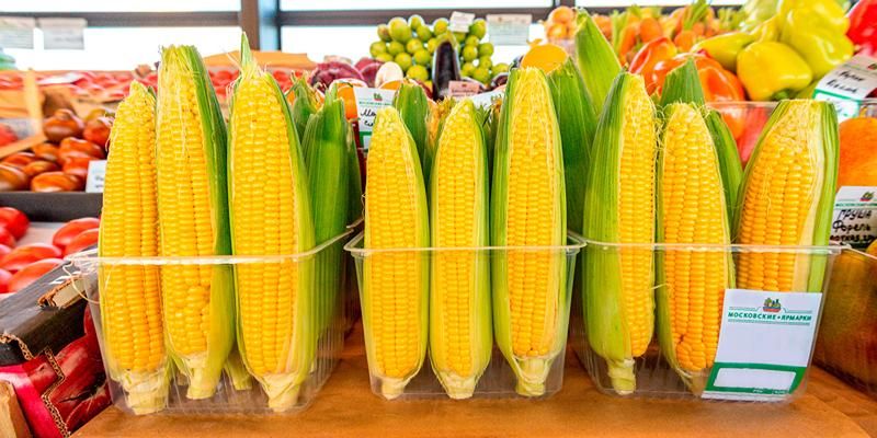 На ярмарках выходного дня купили около 100 тонн кукурузы