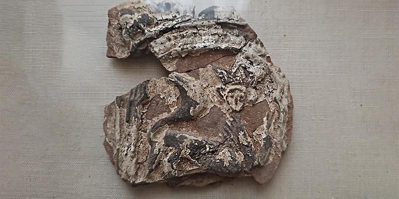 Царица дома: московские археологи нашли 400-летние изразцы с кошками в коронах