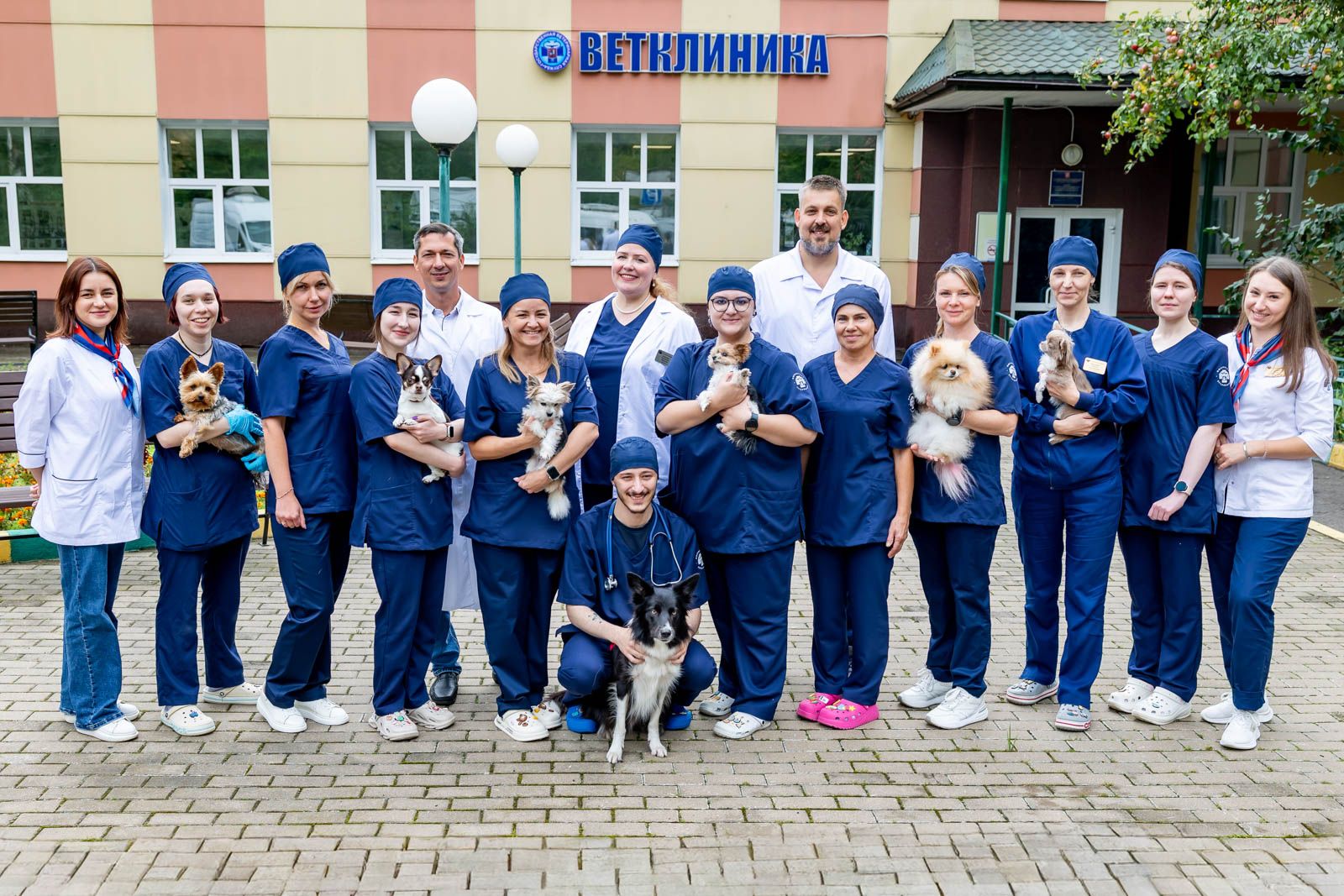 Как современная ветеринария меняет жизнь владельцев животных в Москве