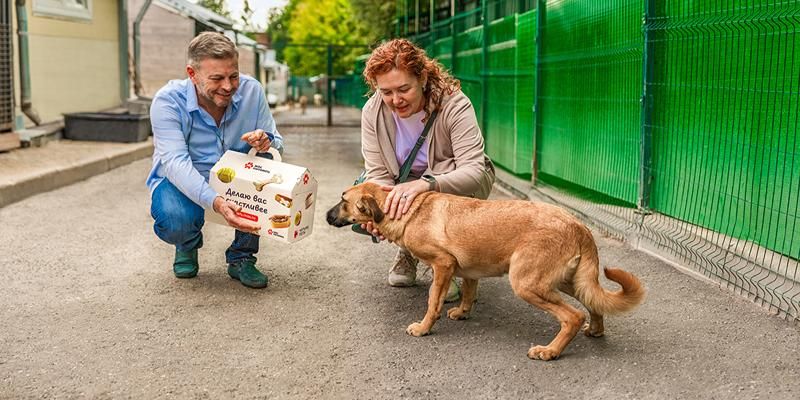 400 горожан, взявших животное из приюта, получат подарок от сервиса «Моспитомец»