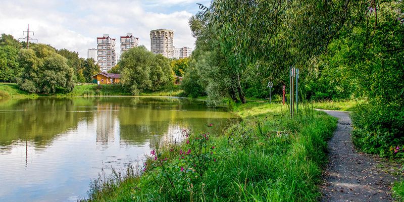 В столице начал работу научно-экспертный совет по сохранению и развитию национального парка «Лосиный Остров»