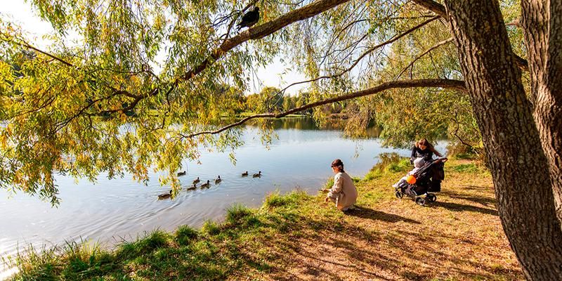 Экологические экскурсии проходят в парках столицы