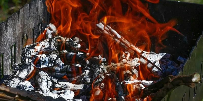 Горожан призывают не разводить костры на природе