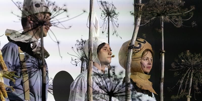 Театр и музыка: что ждет гостей проекта «Оттепель. Не сезон» на ВДНХ в середине октября