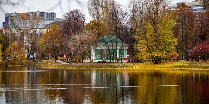 Пасмурно и прохладно: какой будет погода в ближайшие дни