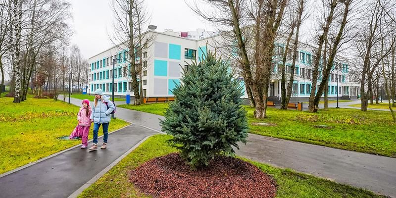 Территории обновленных школ в столице украсит свыше 1,4 тысячи деревьев