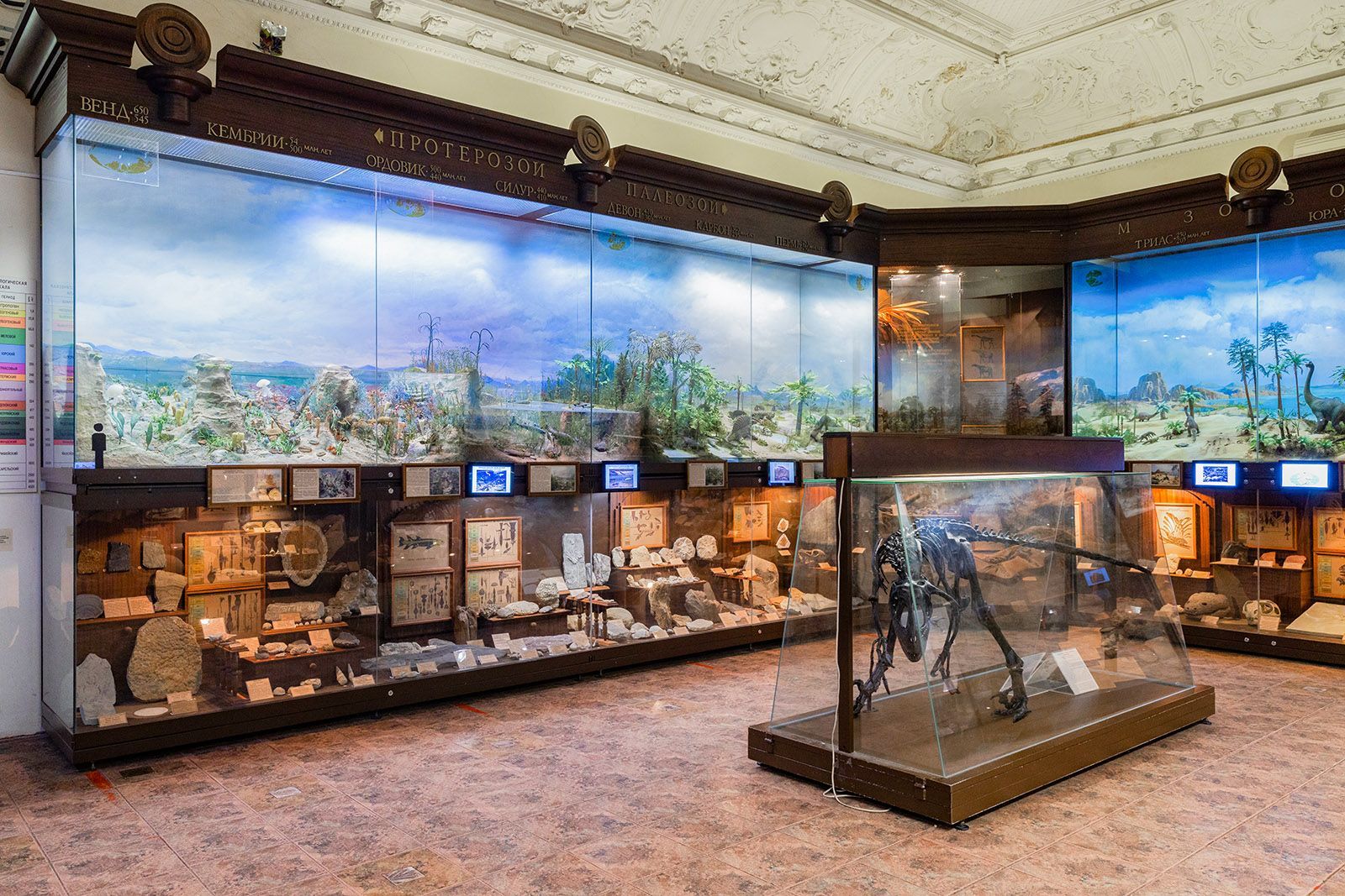 Фото: Государственный биологический музей имени К.А. Тимирязева