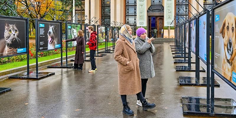 «Хочу домой»: фотовыставки животных из городских приютов открылись на ВДНХ и возле парка «Сокольники»