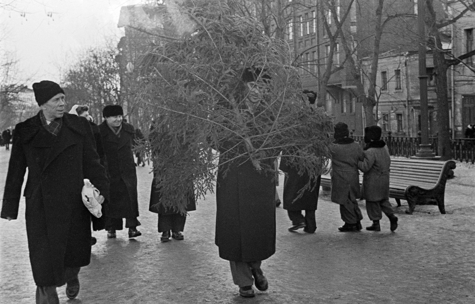 На одном из бульваров перед Новым годом. Автор М. Озёрский. Москва. Декабрь 1957 г. Главархив Москвы