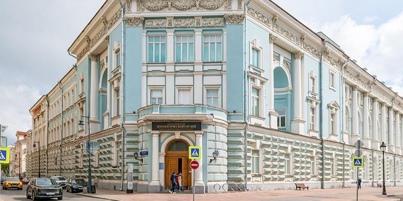 Фасады здания Зоологического музея МГУ отреставрируют до конца года