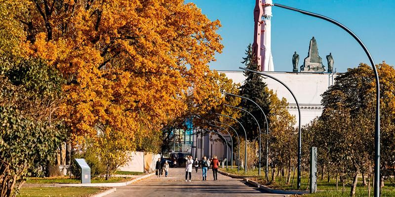 Более 200 тысяч деревьев и кустарников: как специалисты готовят растения на ВДНХ к зиме