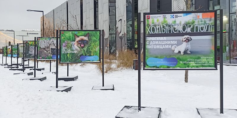 Тайны Дома музыки и «Сказка горного Черноморья»: о чем еще расскажут фотовыставки в парках в декабре