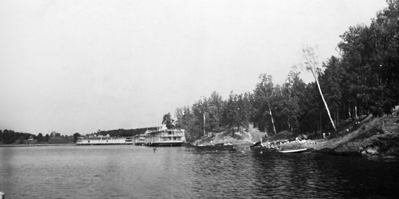 Зеленая столица: Главархив &ndash; о том, как сажали деревья в Москве в 1953 году