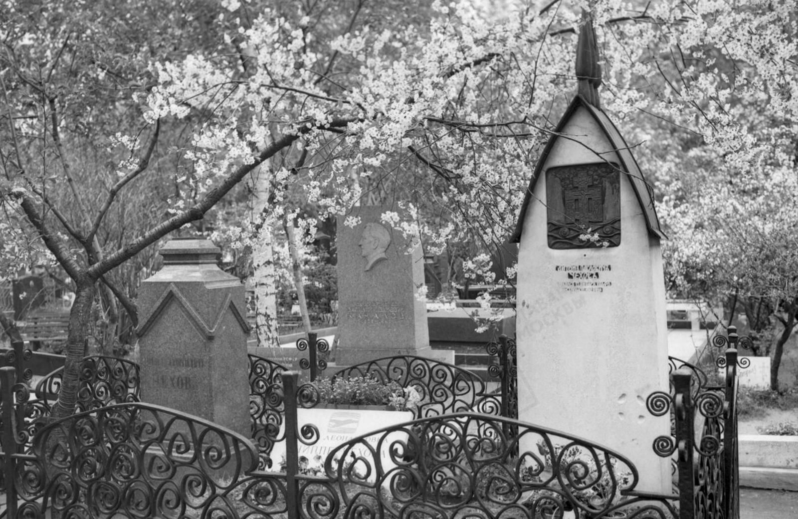 Могила А.П. Чехова на Новодевичьем кладбище. 3 июня 1965 г. Фото Н. Грановского. Главархив Москвы