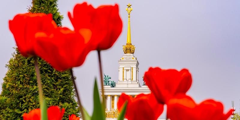 От первоцветов до роз: какими растениями можно будет полюбоваться на ВДНХ в этом году