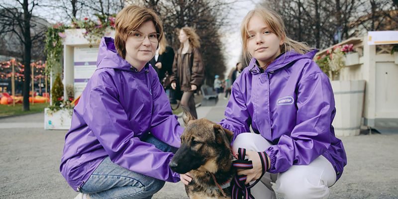 Погулять, привезти корм и придумать кличку: горожан приглашают присоединиться к выездам в приюты для животных в мае