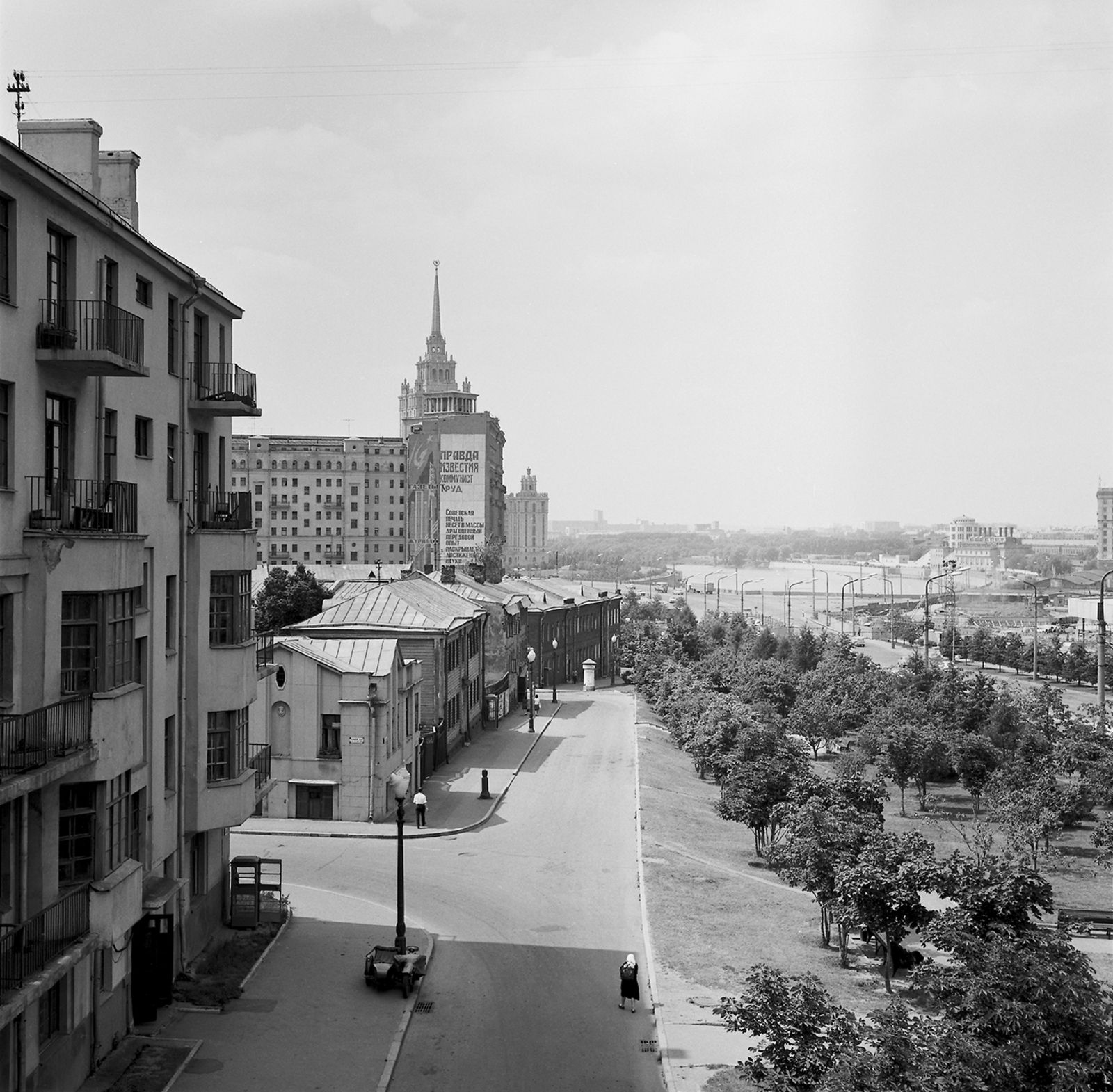 Полоса озеленения в районе Кутузовского проспекта. Автор – Евграшин. Москва. Июль 1967 г. Главархив Москвы