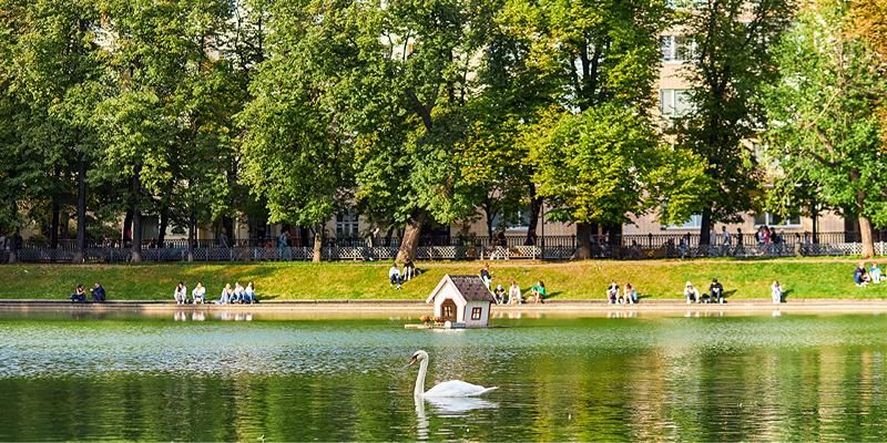 До плюс 32 градусов и без существенных осадков: какой будет погода в ближайшие дни