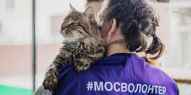 Помочь животным из приютов Белгородской области можно в рамках акции «Накорми друга»