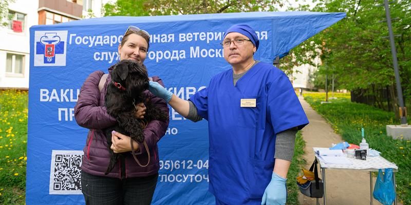 В столице началась сезонная программа бесплатной вакцинации домашних животных