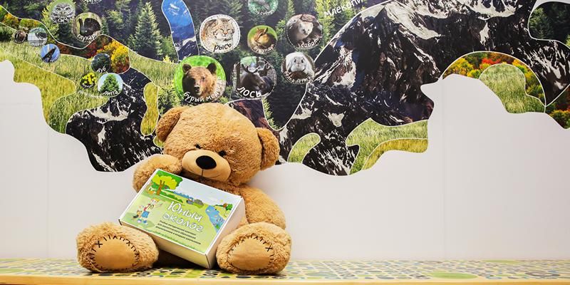 В экоцентрах Департамента природопользования пройдут тематические занятия про особенности зимовки медведей