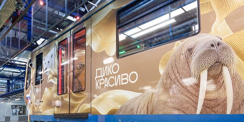 В метро начал курсировать тематический поезд, посвященный XX Международному фестивалю дикой природы «Золотая черепаха»