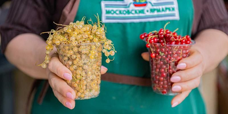 На московских ярмарках начался сезон смородины и вишни
