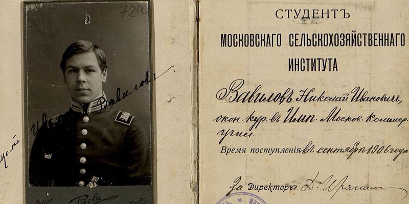 Главархив Москвы рассказал о генетике Николае Вавилове