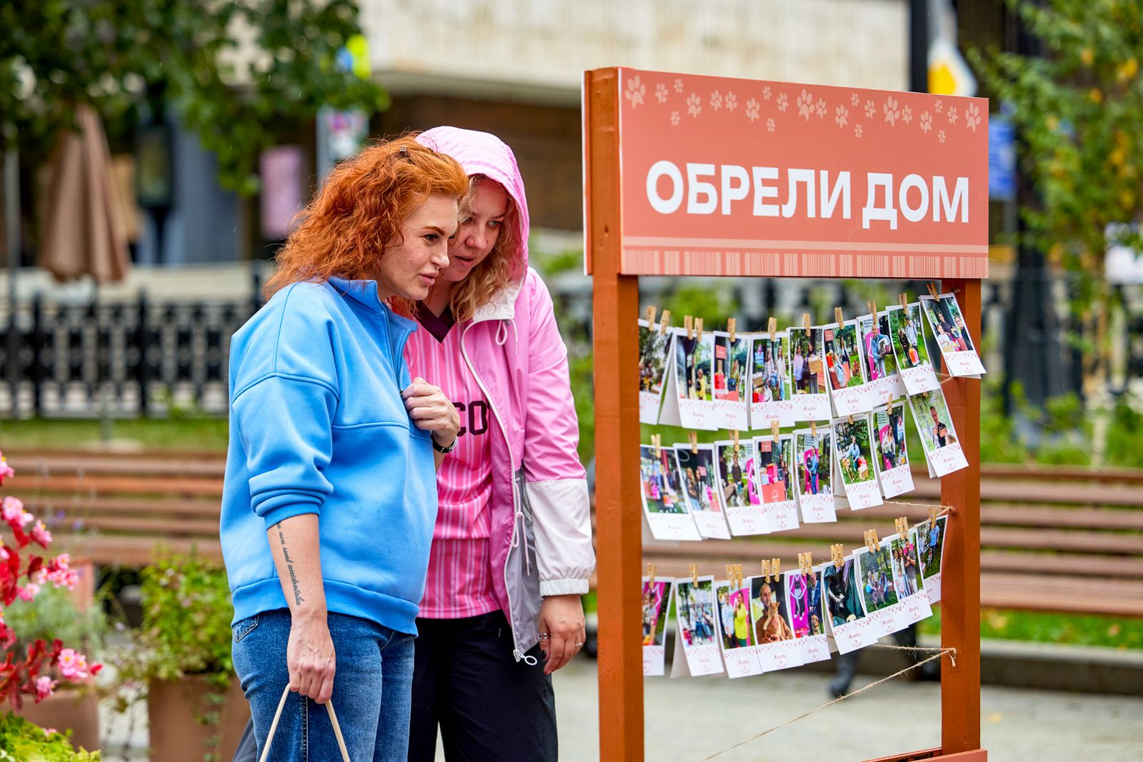Более 65 кошек и собак нашли новую семью на фестивале «Моспитомец × Четвероногий друг»