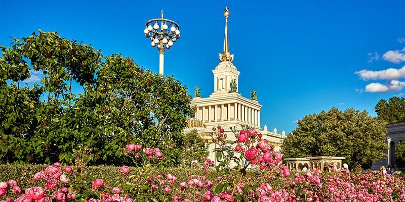 Посетители выставки «Экология в деталях» узнают, как сохраняют природу в Москве
