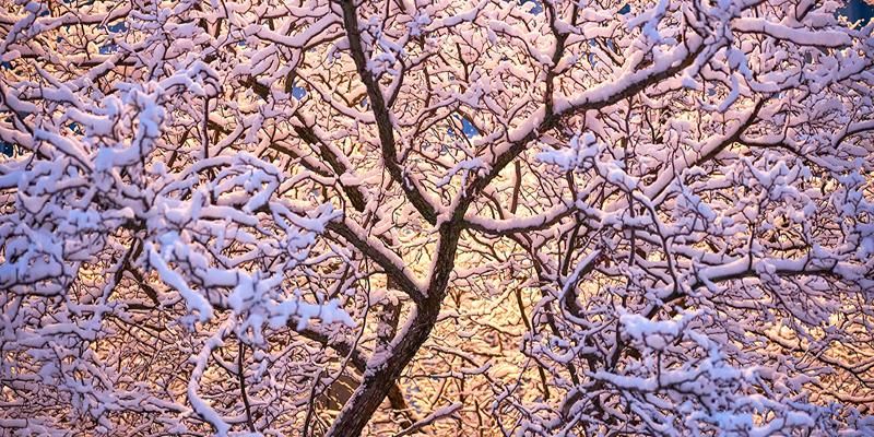 Снегопад в Москве продлится до вечера 25 февраля