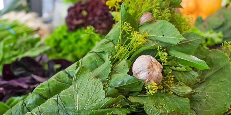 На московских ярмарках можно купить наборы для засолки