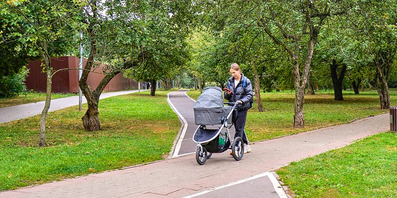 Питание на молочной кухне и электронный дневник: о чем спрашивают москвичи в поисковой строке на портале mos.ru