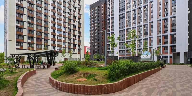 Свыше 240 тысяч деревьев и кустарников высадили возле новостроек по программе реновации