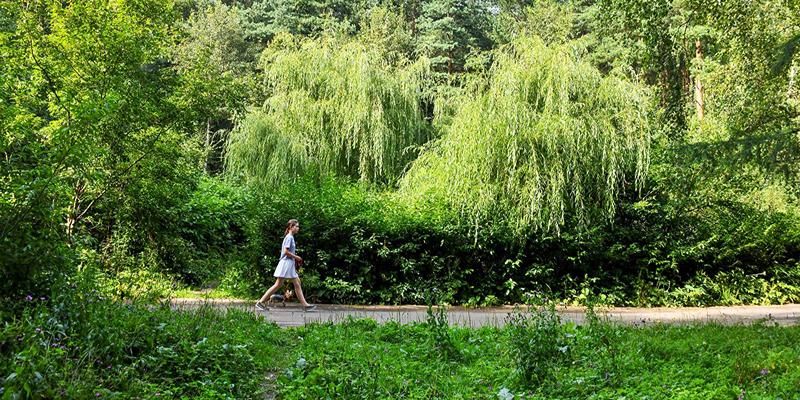 Природный каркас Москвы станет ориентиром для озеленения каждого района столицы