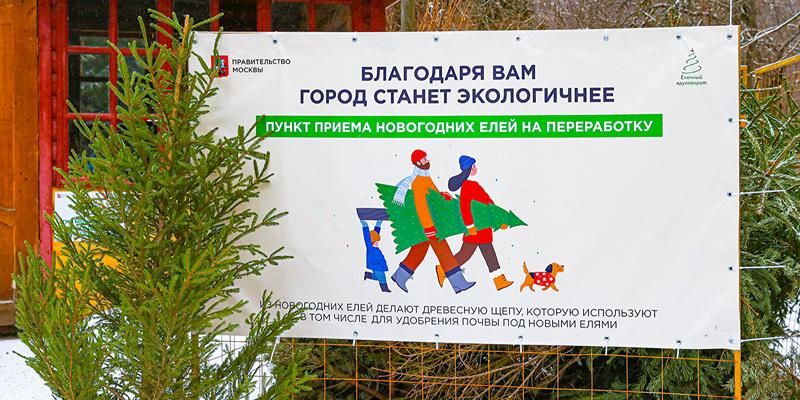 «Елочный круговорот»: традиционная акция начнется 2 января