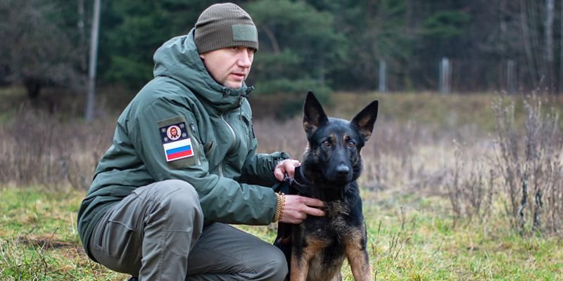 Год подготовки и бронежилет: где обучают служебных собак для работы в зоне СВО