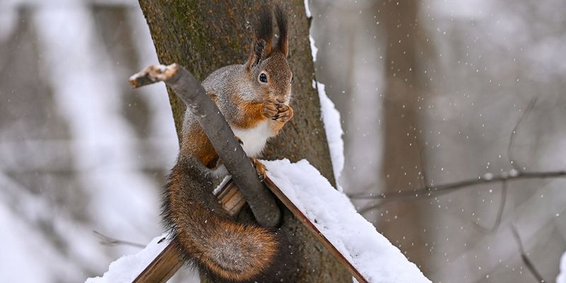 От плюс двух до минус 15: какой будет погода в ближайшие дни