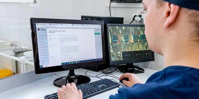 В ДИТ Москвы рассказали, как работает ветеринарная автоматизированная система