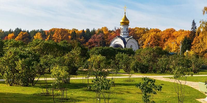 Более 300 кустов сирени: на ВДНХ продолжают пополнять историческую коллекцию