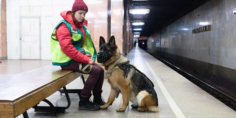 Друг рядом: как собаки-проводники помогают незрячим людям в поездках на метро