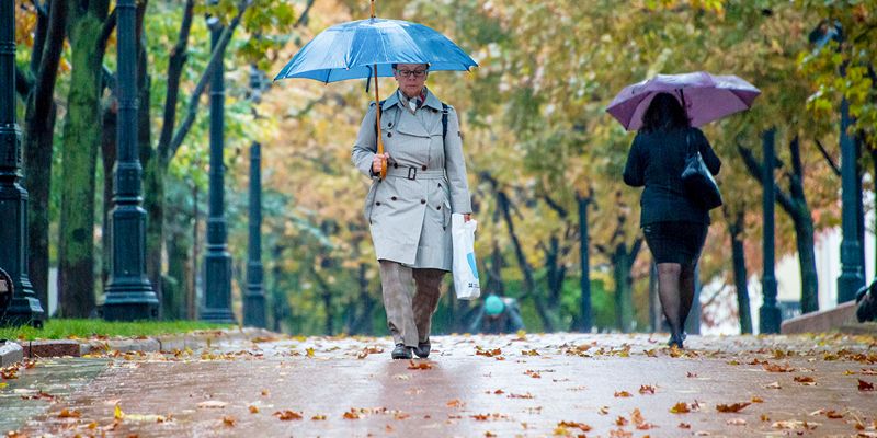 В ближайшие дни москвичей ждет дождливая осенняя погода