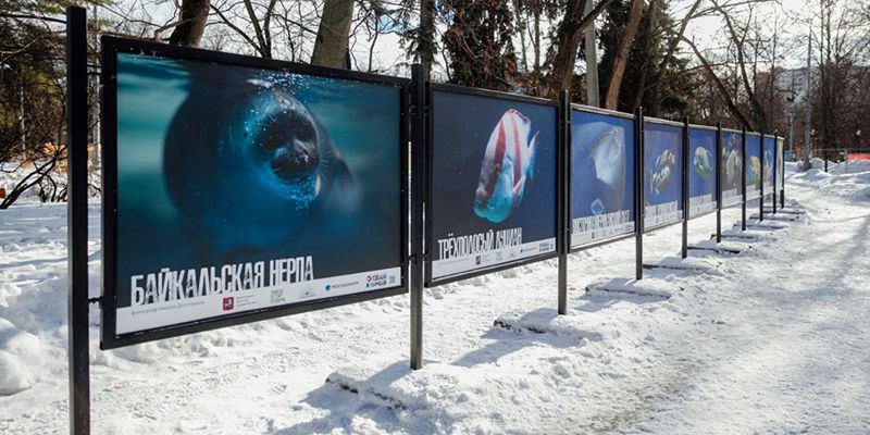В парке «Сокольники» открылась фотовыставка «Океан в городе»