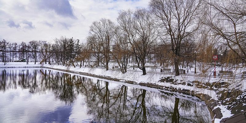 Облачно и морозно: погода на ближайшие дни