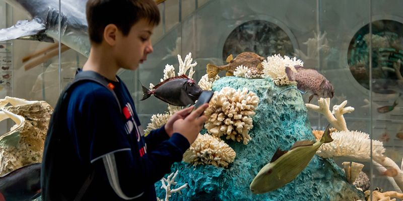 Амфибии и морские драконы мезозоя: Дарвиновский музей приглашает отпраздновать День воды